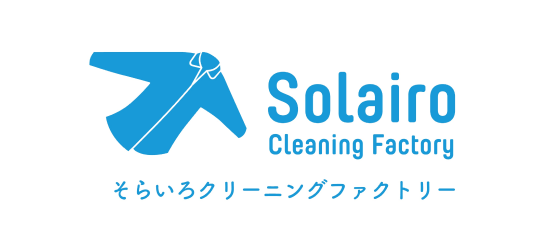 Solairo Cleaning Factory